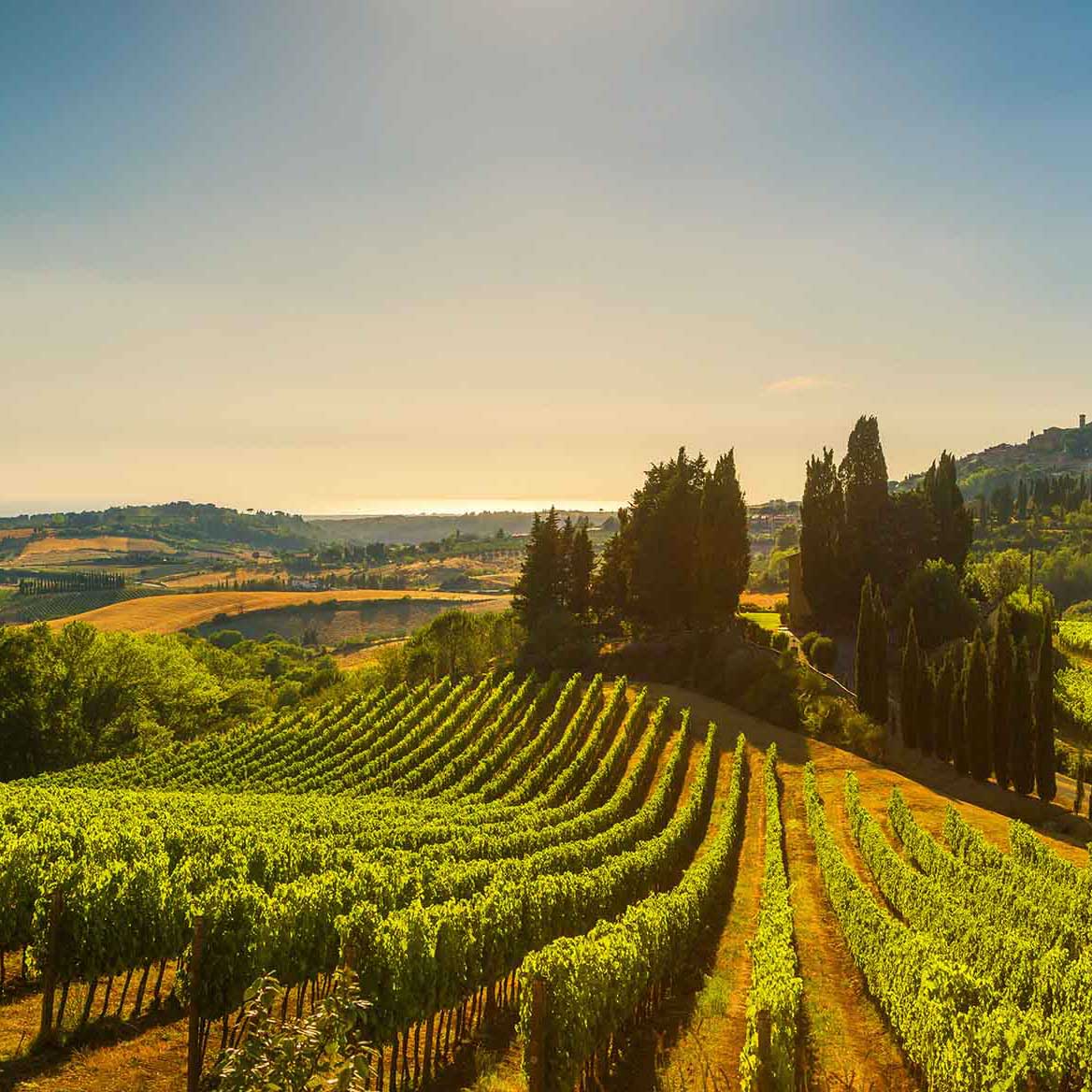 Vineyards and countryside landscape in Tuscany, Italy.
